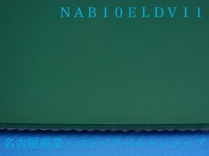 NAB10ELDV11(表面)