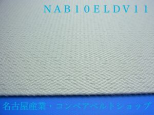 NAB10ELDV11(裏面)