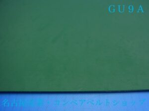 GU9A(表面)