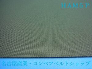 HAM5P(裏面)