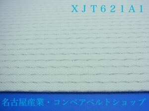 XJT621A1(裏面)