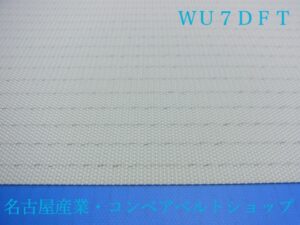 WU7DFT