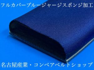 フルカバーブルージャージ
