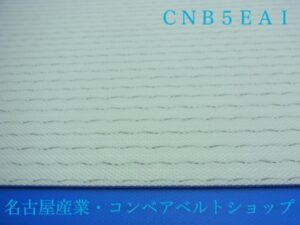 CNB-5E-A1(裏面)