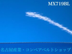 MX719BL表面