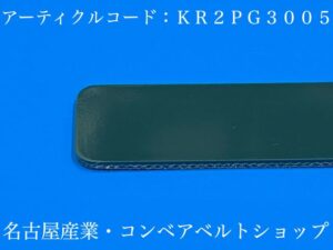 KR2PG3005表面