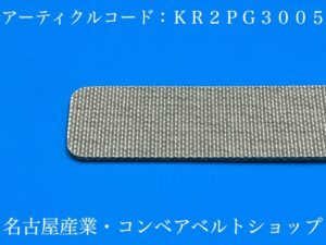 KR2PG3005裏面