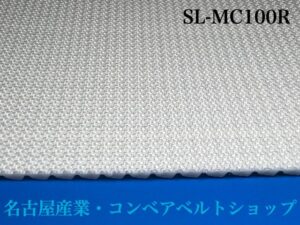 SL-MC100R裏面