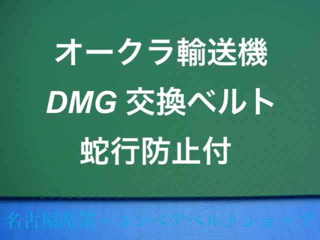 DMG25D300