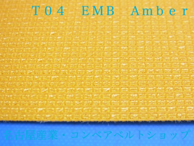 T04 EMB Amber