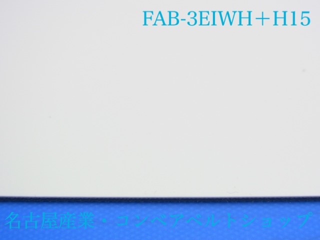 FAB-3EIWH+H15(XVT-2091)